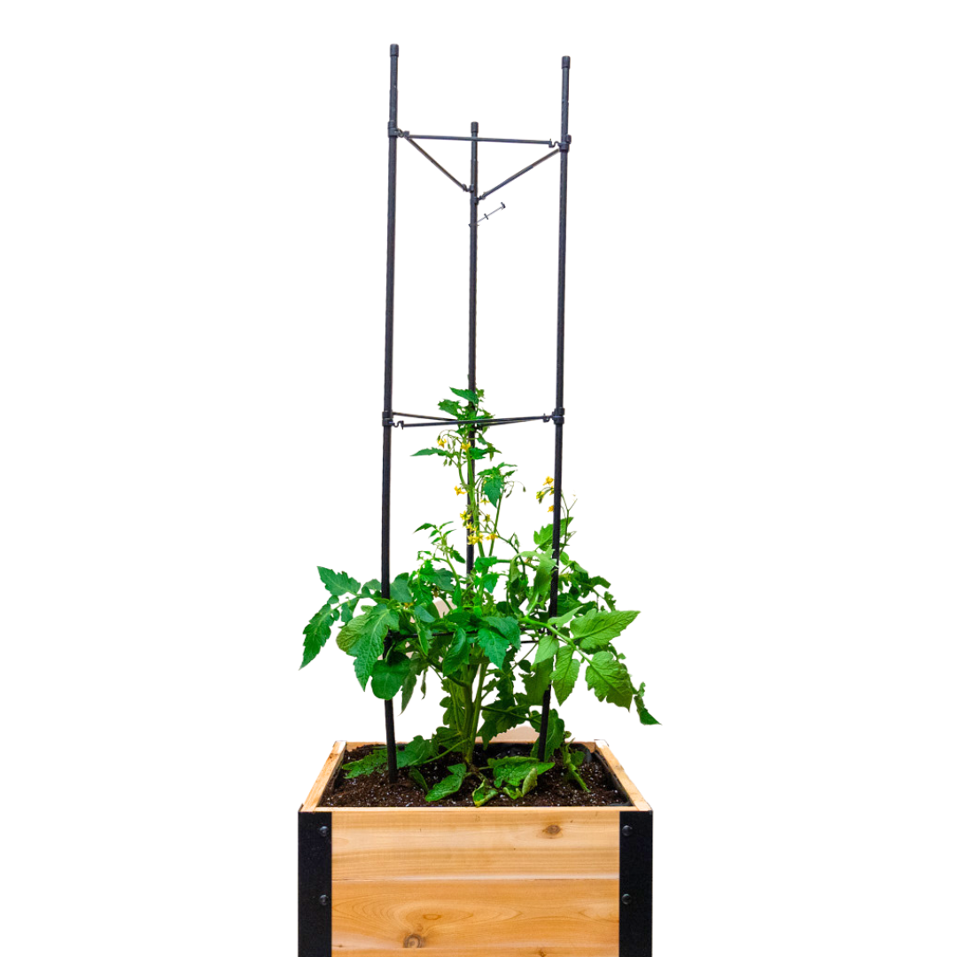 Vegetable Cage | Vegetable Plant Support