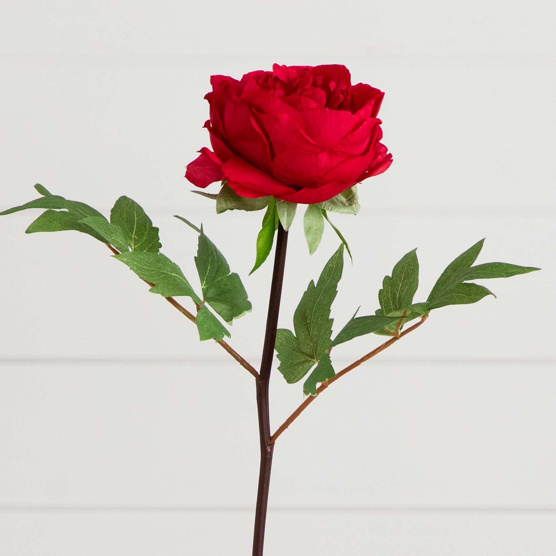 20"Artificial Peony Flower Stems - Set of 3 - Tampa Home & Garden Store