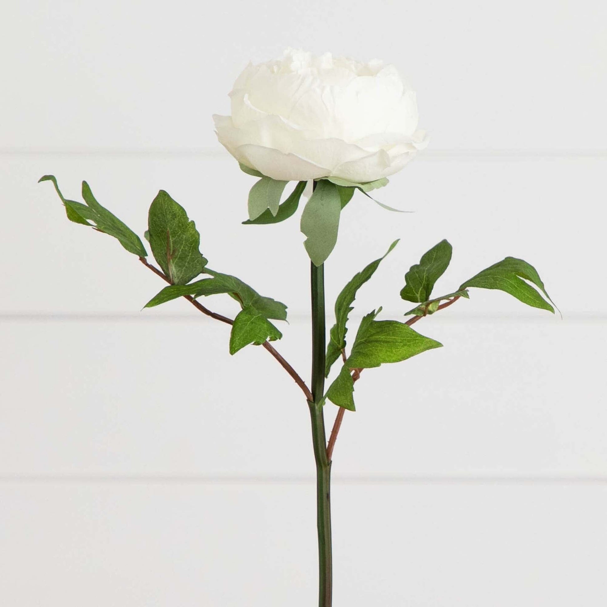20"Artificial Peony Flower Stems - Set of 3 - Tampa Home & Garden Store