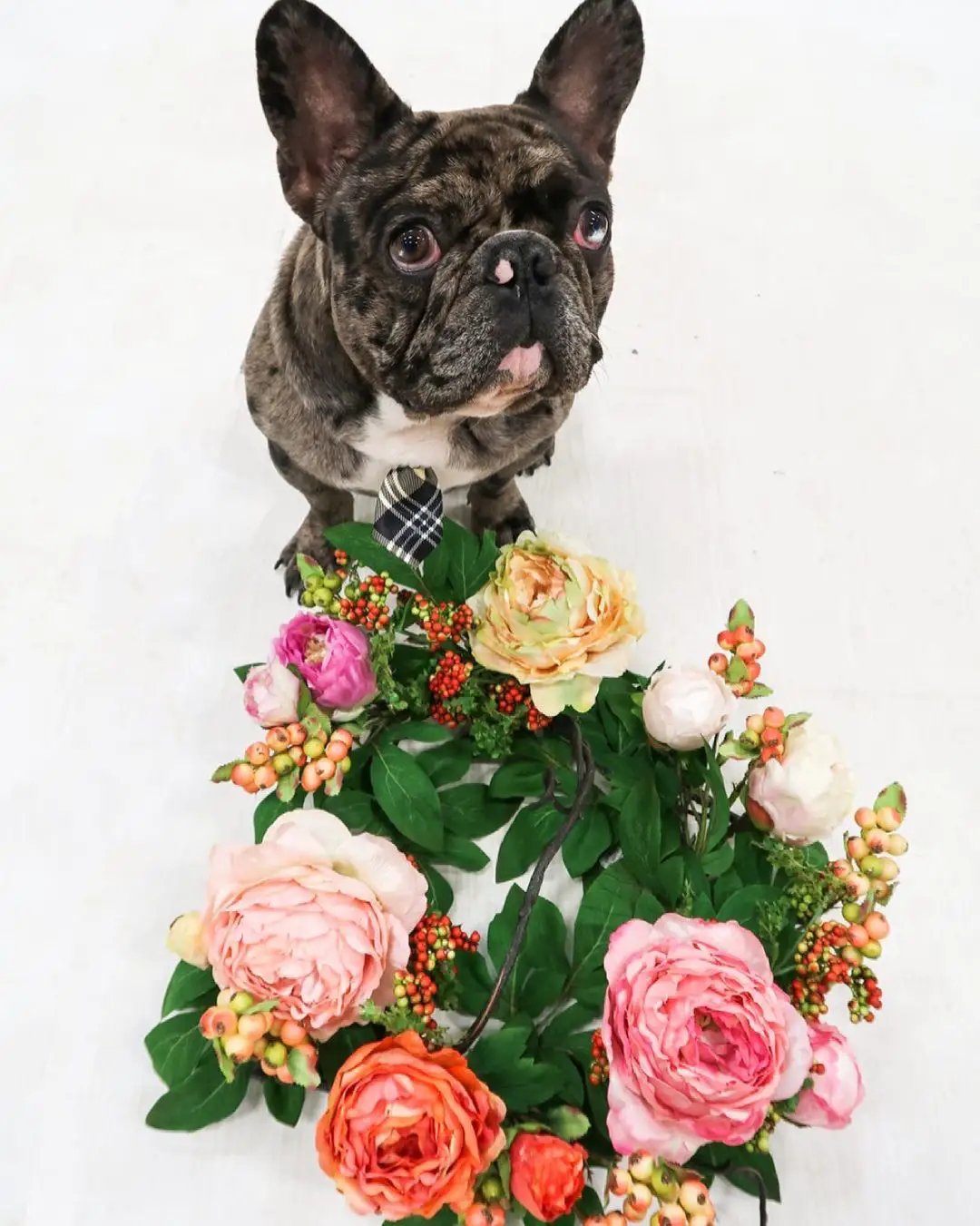 20'' Mixed Peony & Berry Wreath - Tampa Home & Garden Store