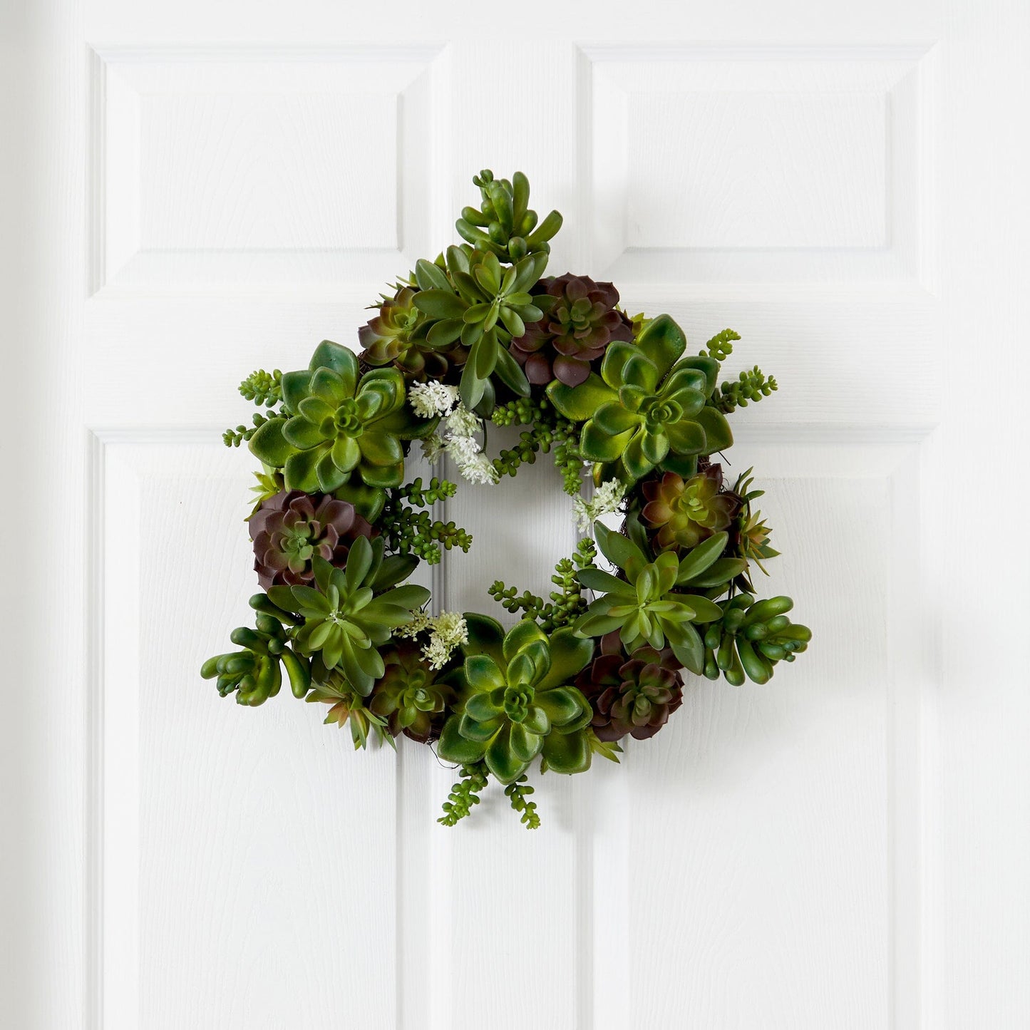 20" Succulent Wreath - Tampa Home & Garden Store