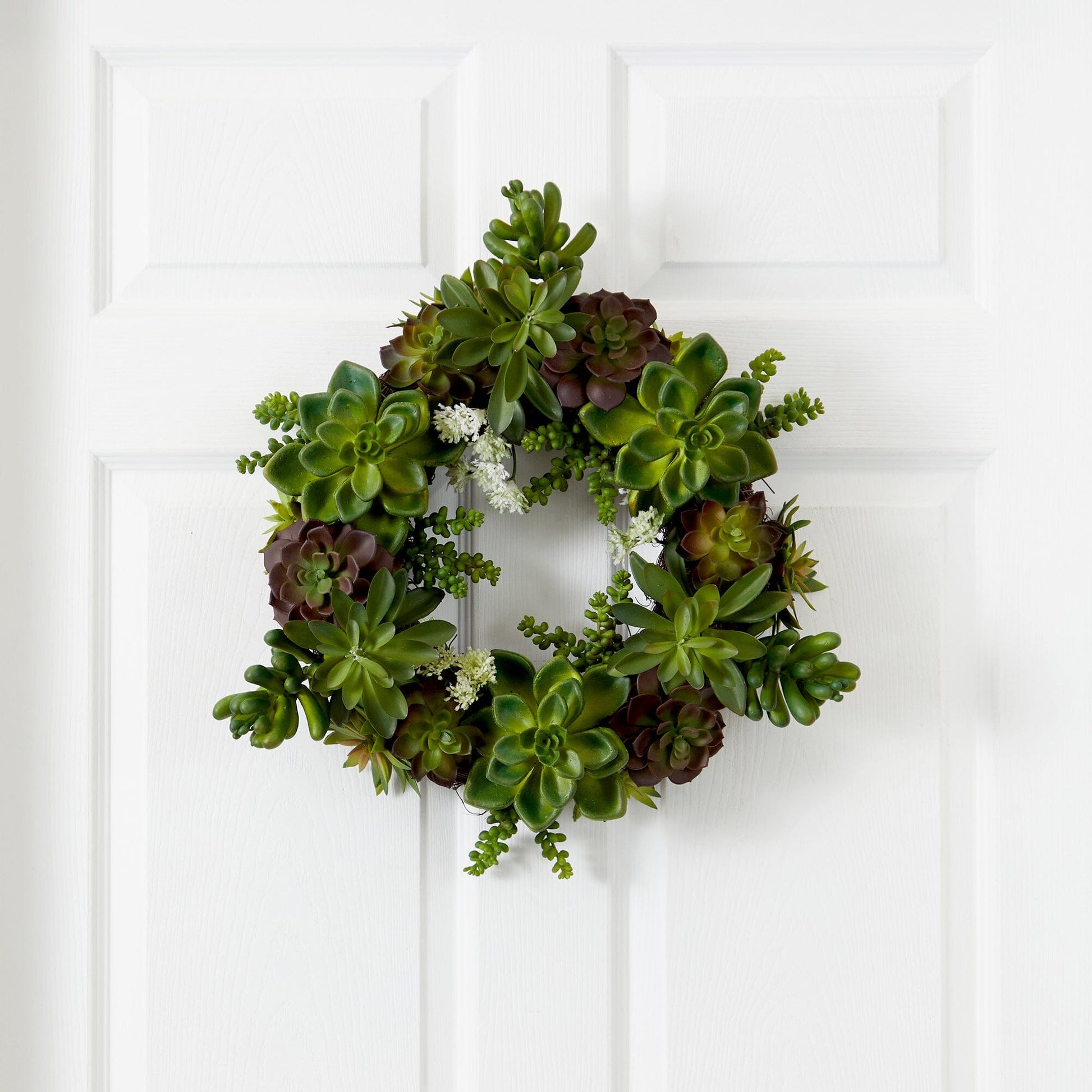 20" Succulent Wreath - Tampa Home & Garden Store