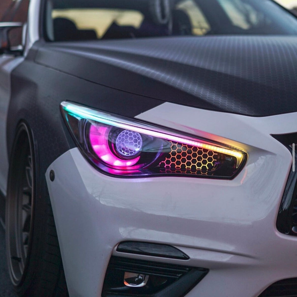 Infiniti Q50 RGBW Flow Series LED DRL boards by AutoLEDTech.com with multicolor halo headlights on Tampa Home & Garden Store