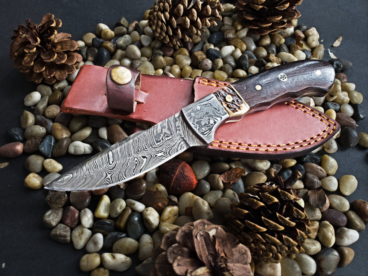 Damascus fixed blade TD-159 knife with walnut-horn handle by Titan International K leather sheath on Tampa Home & Garden Store