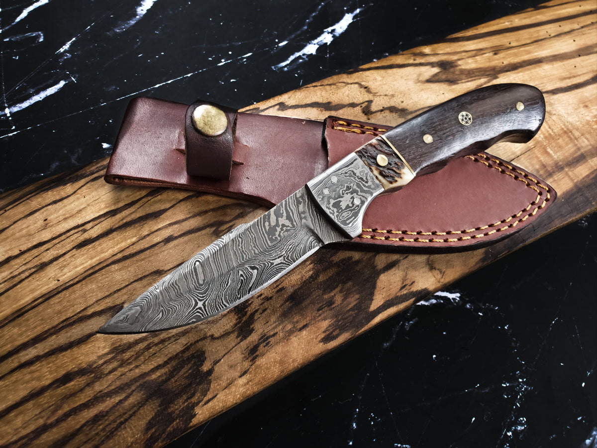 Damascus fixed blade knife with walnut and stag horn handle TD-159 Titan K leather sheath on Tampa Home & Garden Store