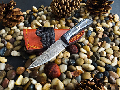 Damascus neck knife TD-233 by Titan International K, hand-forged blade, red sheath on Tampa Home & Garden Store