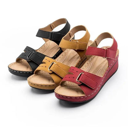 Stevvex 2021 Women's Sandals with buckle straps, wedge heel in black tan red (4 colorways) on Tampa Home & Garden Store