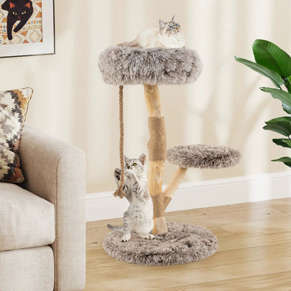 Modern Wooden Cat Tree With Perch and Jute Posts