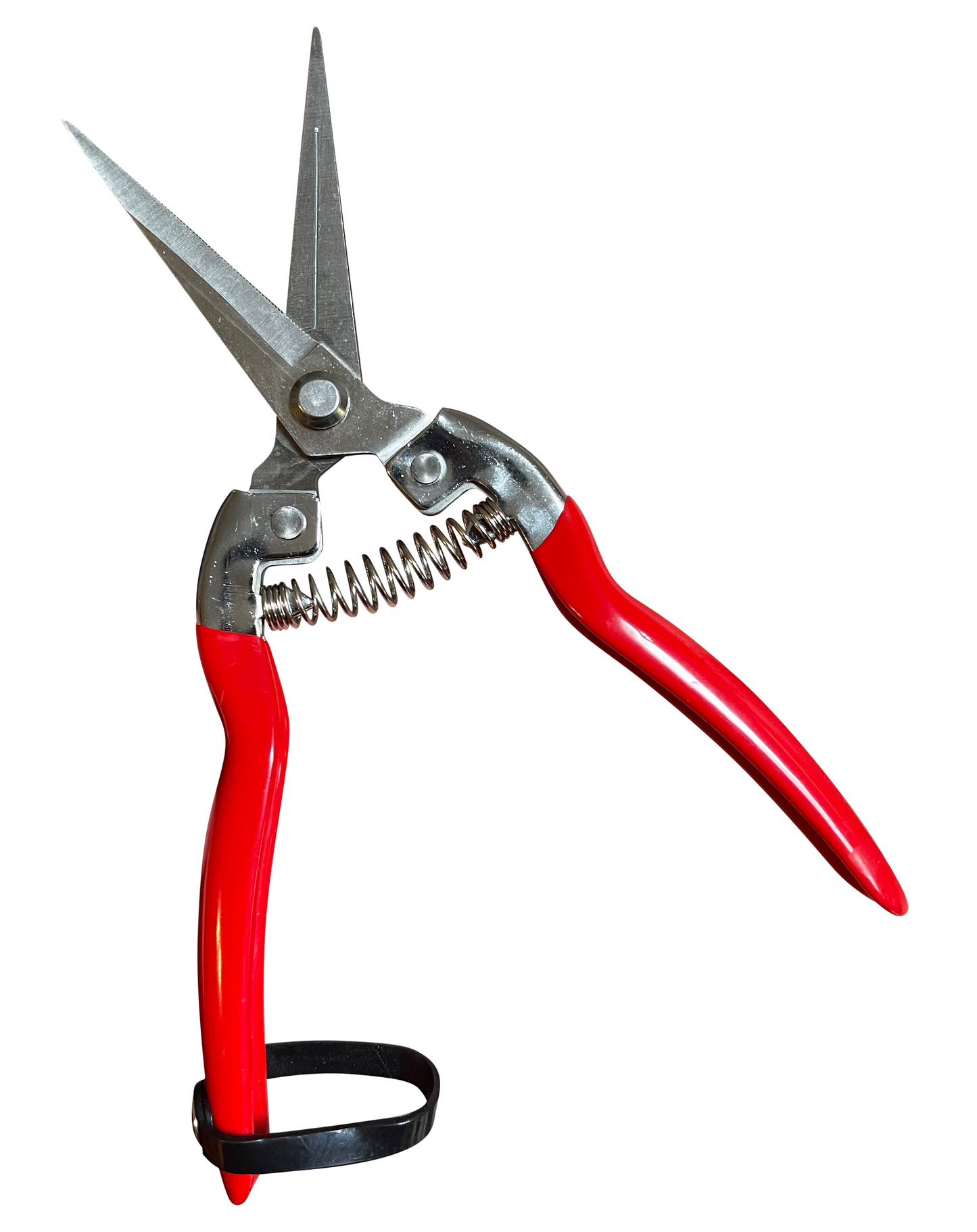 Garden Pruning Snips Clippers - Tampa Home & Garden Store