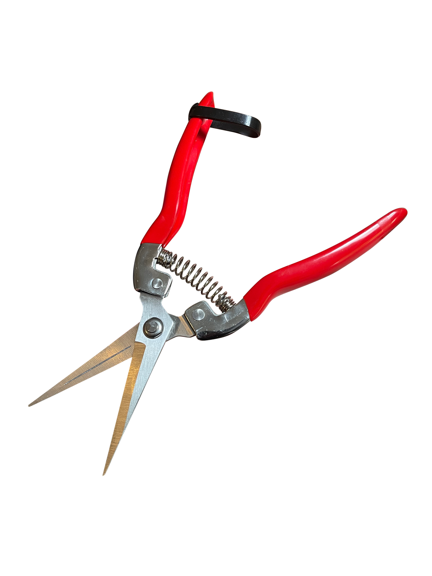 Garden Pruning Snips Clippers - Tampa Home & Garden Store