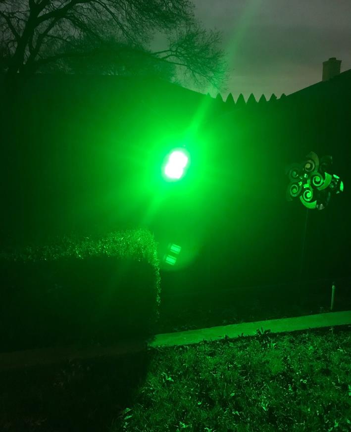 Solar Green Hunting Light for Hogs & Deer by Langy Solar Lights, 15,000-lumen outdoor light on Tampa Home & Garden Store