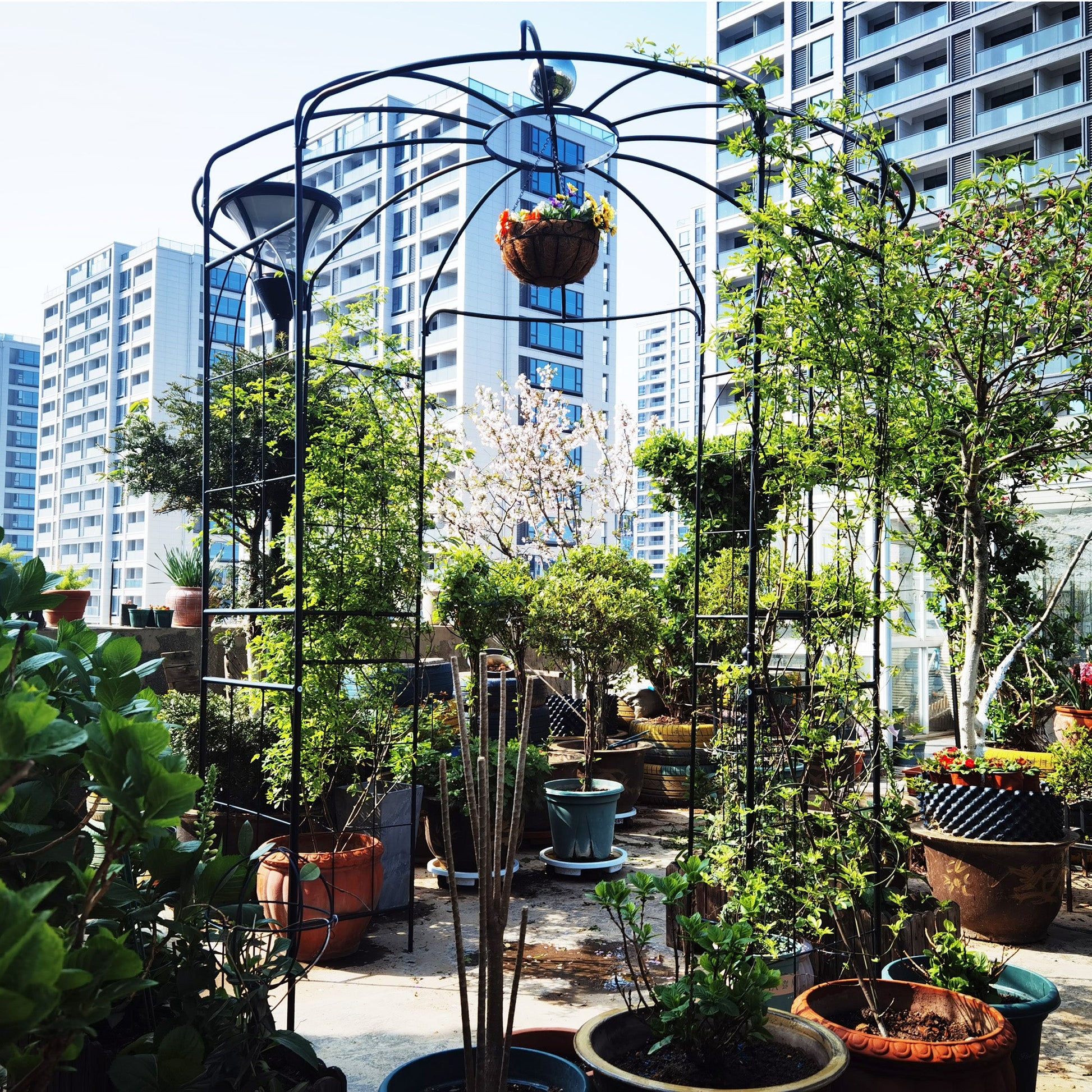 Metal garden arch iron garden arbor by HouseOfZazla in black with potted plants in city garden on Tampa Home & Garden Store