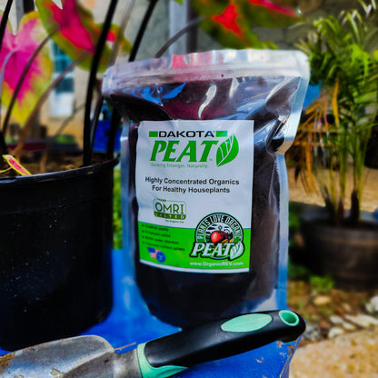 Bolsa de 1 libra de turba de juncia Dakota Reed