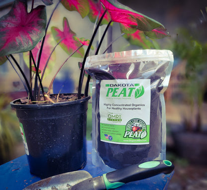 Bolsa de 1 libra de turba de juncia Dakota Reed