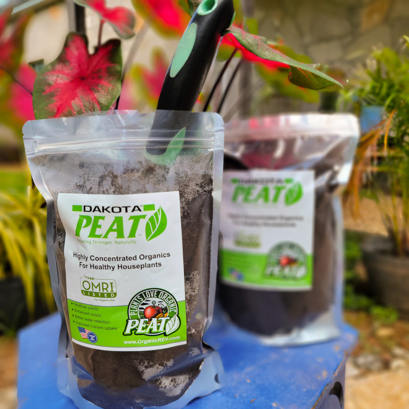 Dakota Reed Sedge Peat Moss 1lb Bag