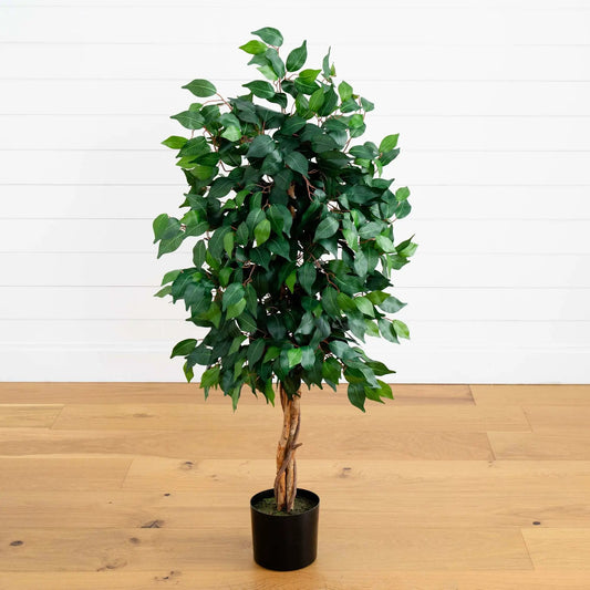 Ficus Auriculata artificial silk tree, 4 ft, braided trunk in black pot on Tampa Home & Garden Store