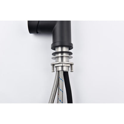 Pull-down kitchen faucet with black matte body and braided hoses on Tampa Home & Garden Store