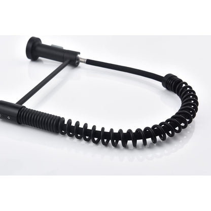 Pull-down single-handle faucet hose with black coil spring and mounting base on Tampa Home & Garden Store