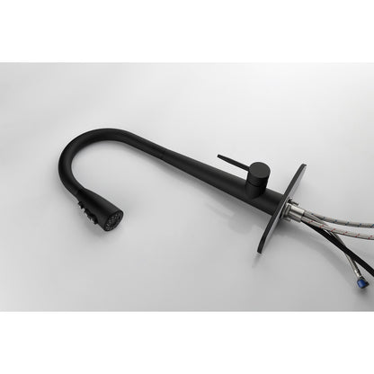Black matte single-handle pull-down kitchen faucet with gooseneck spout and pull-down sprayer on Tampa Home & Garden Store