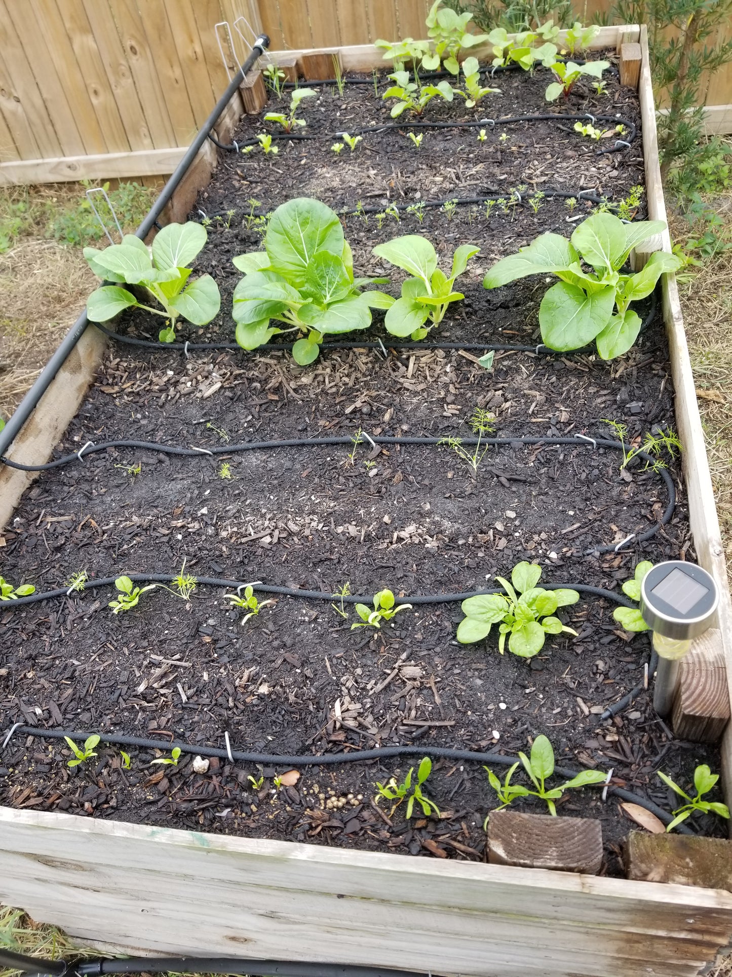 Raised Garden Bed Assembled & Filled - 3'x6'x29in