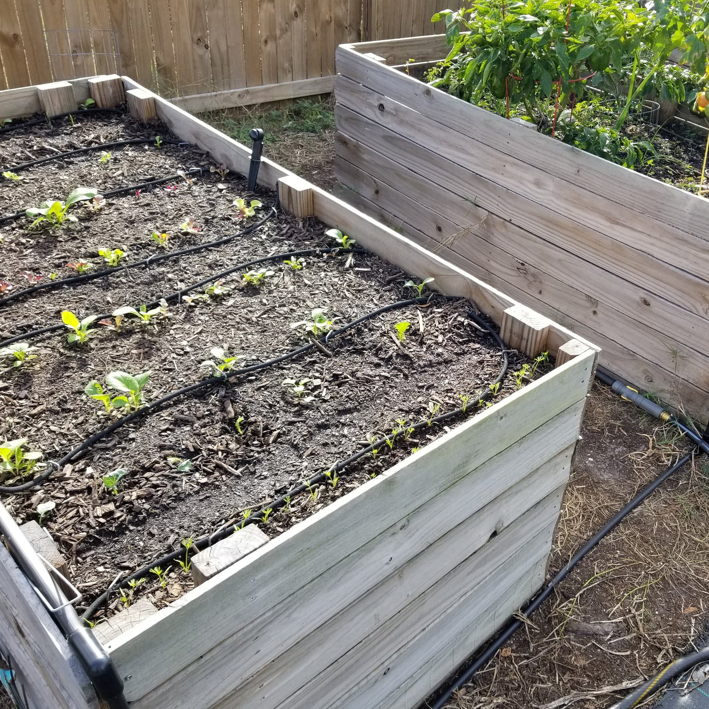 We build these wood raised garden beds for you.