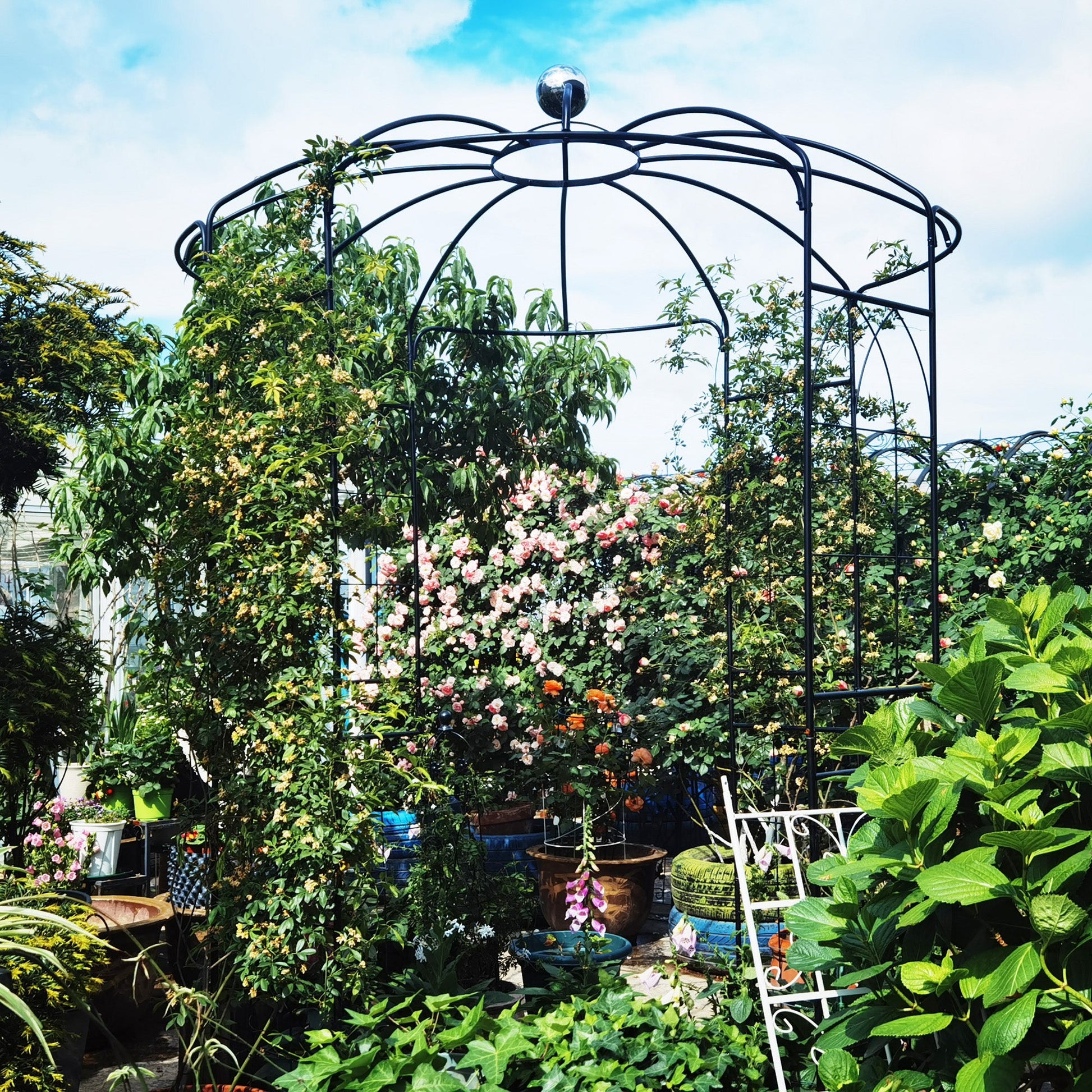 Metal garden arch black iron with curved rings and spherical topper by HouseOfZazla on Tampa Home & Garden Store