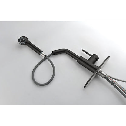 Single-Handle Kitchen Sink Faucet with Pull-Out Sprayer, matte black finish, braided hose on Tampa Home & Garden Store