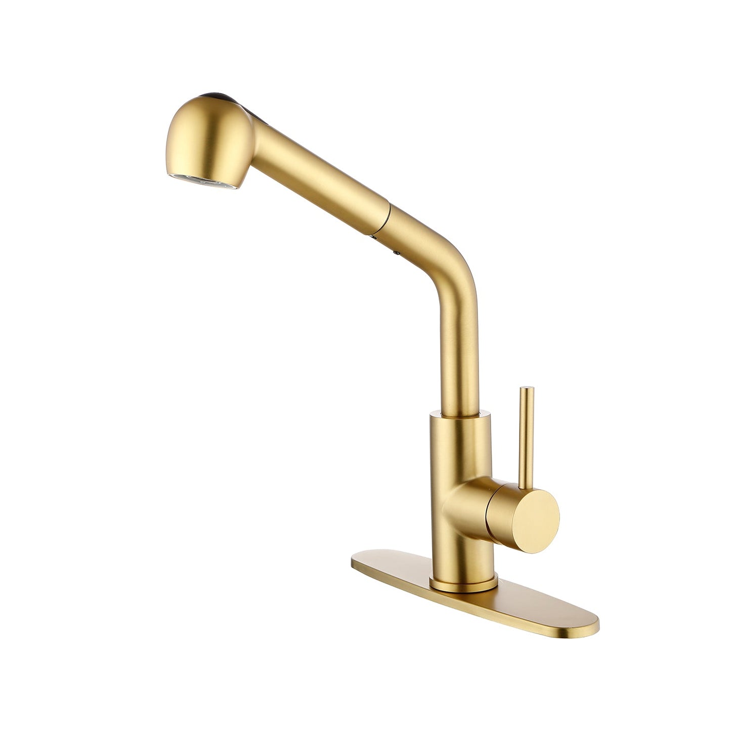 Single-handle kitchen faucet with pull-out sprayer in gold finish on Tampa Home & Garden Store