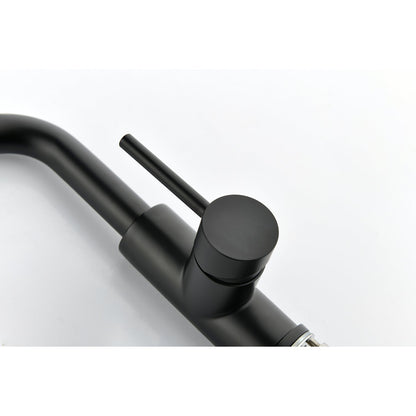 Single Handle Kitchen Sink Faucet with Pull Out Sprayer in matte black by HouseOfZazla on Tampa Home & Garden Store