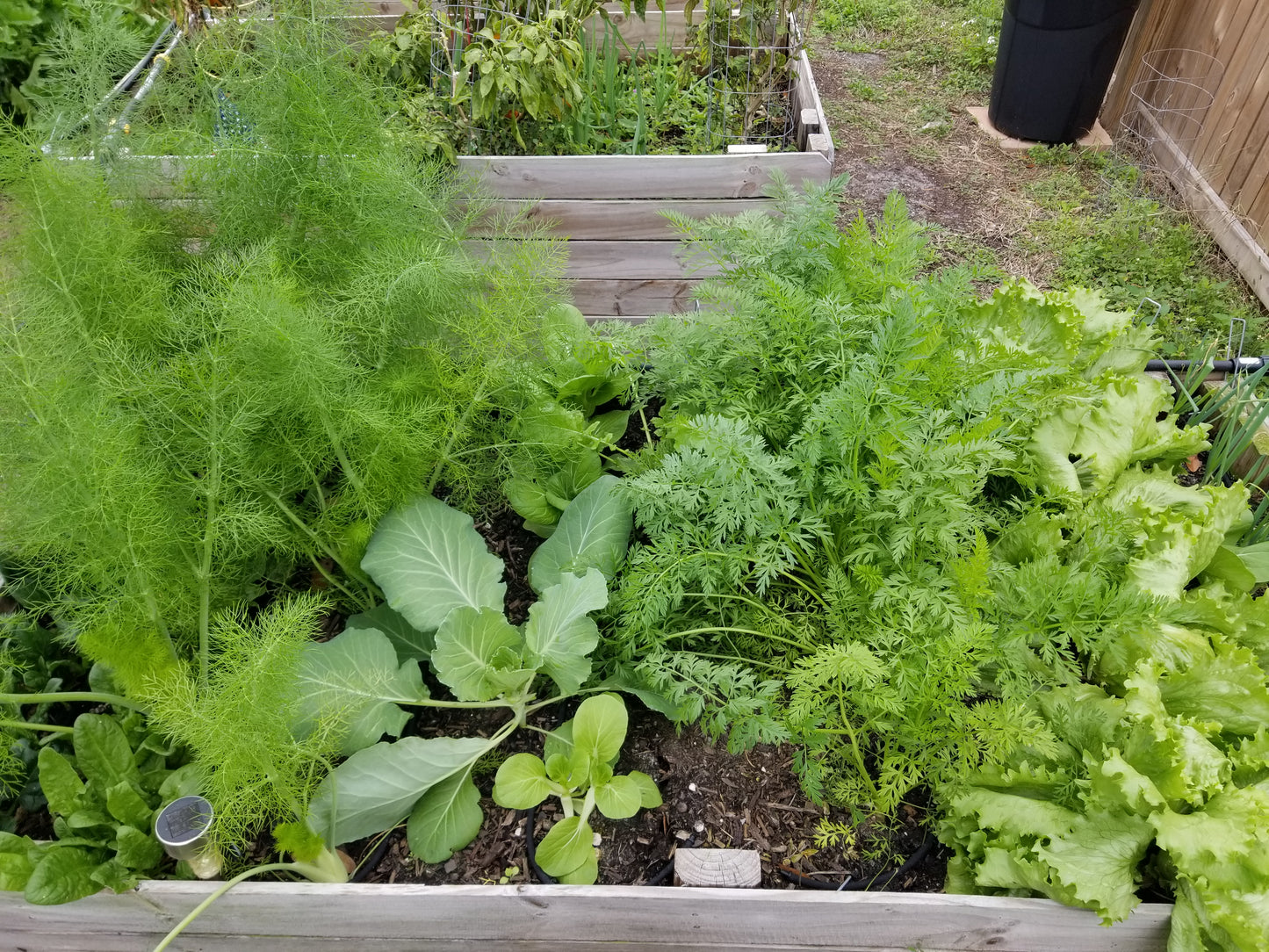 Raised Garden Bed Assembled & Filled - 3'x6'x29in