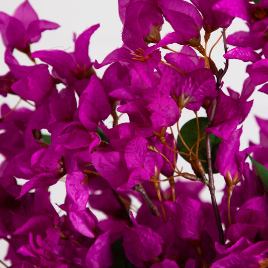 30” Artificial Bougainvillea Arrangement in Glass Vase - Tampa Home & Garden Store
