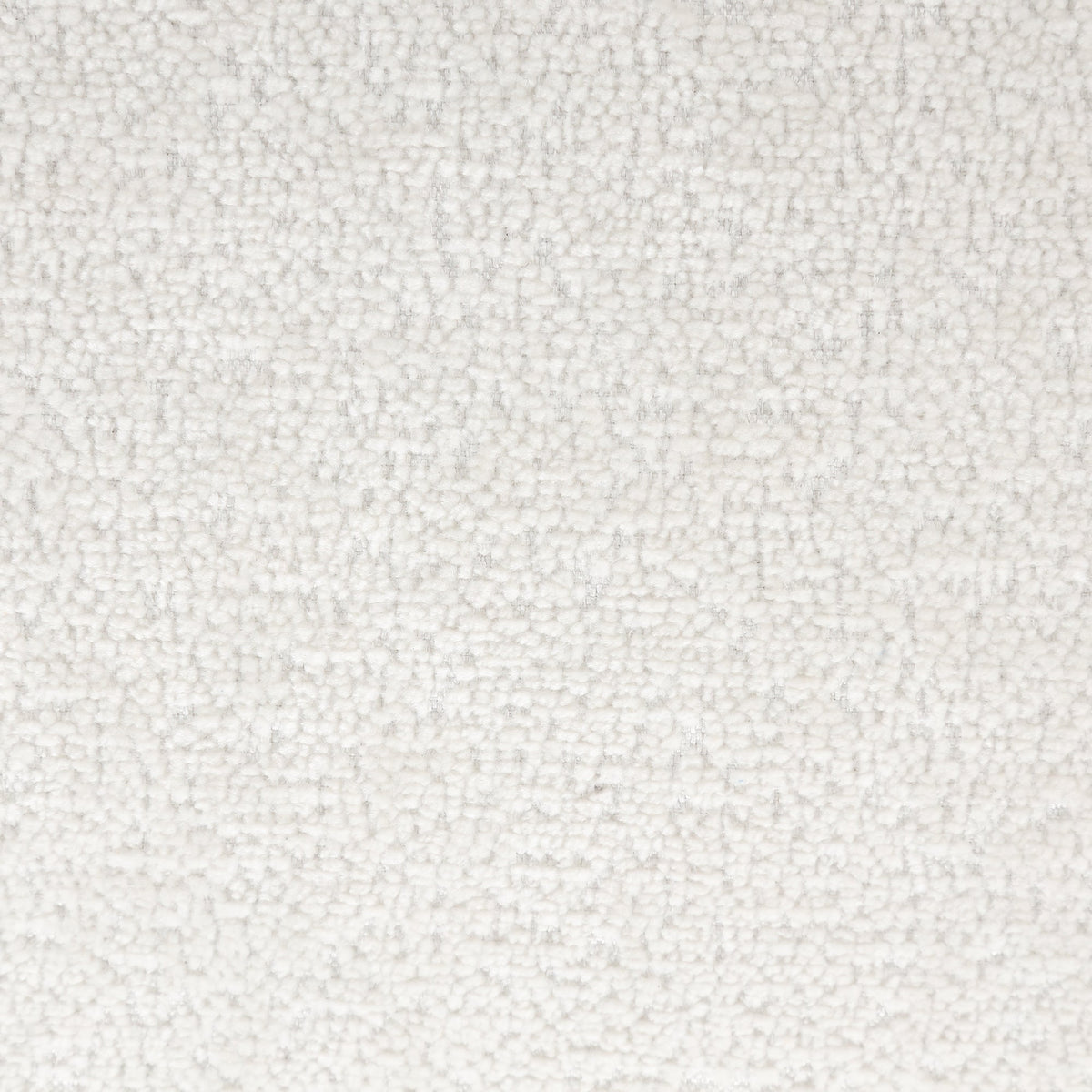 Cream textured carpet close-up with looped pile on Tampa Home & Garden Store