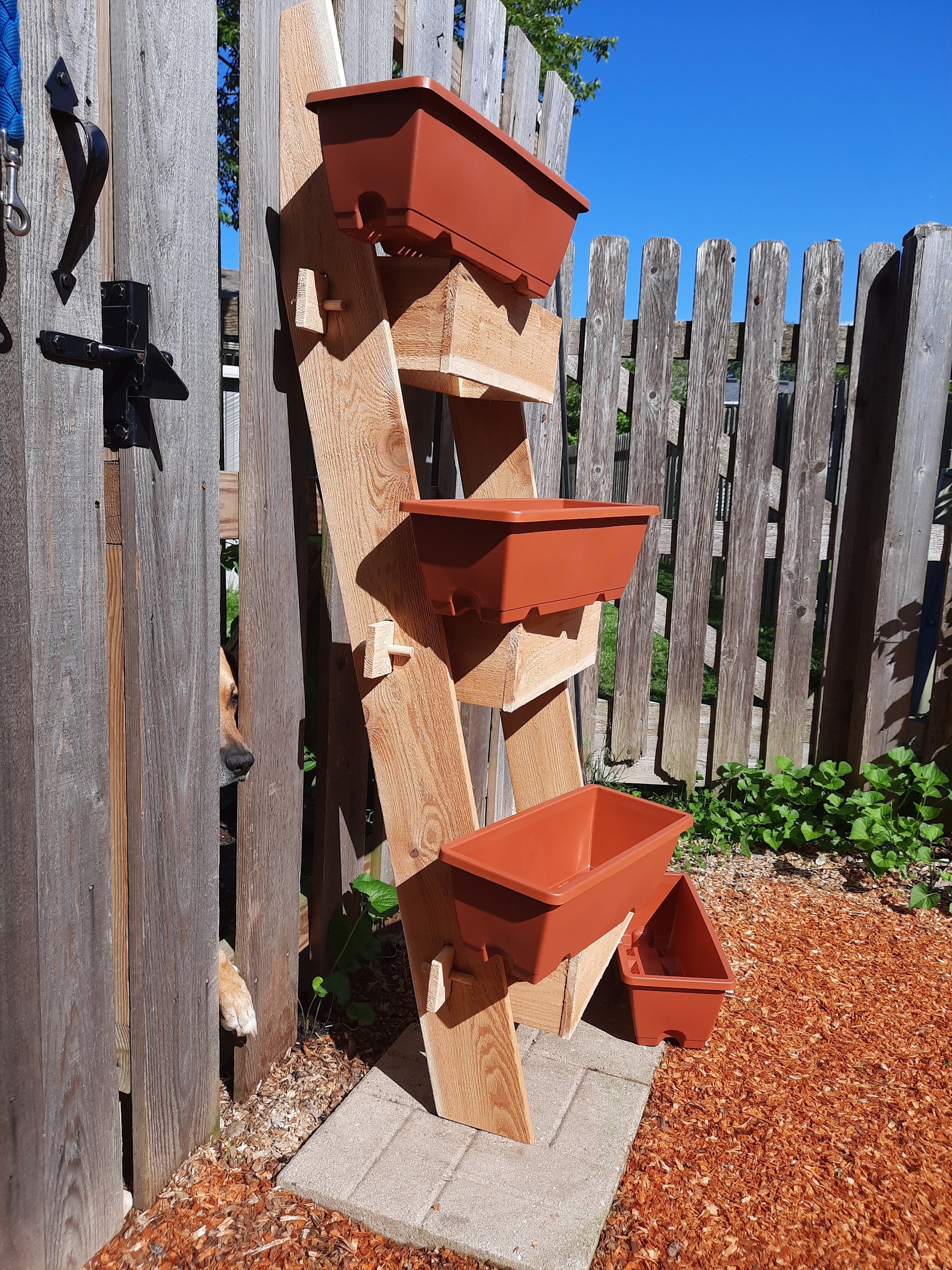 3-Tier Cedar vertical standing planter box with orange planters on a wooden ladder on Tampa Home & Garden Store