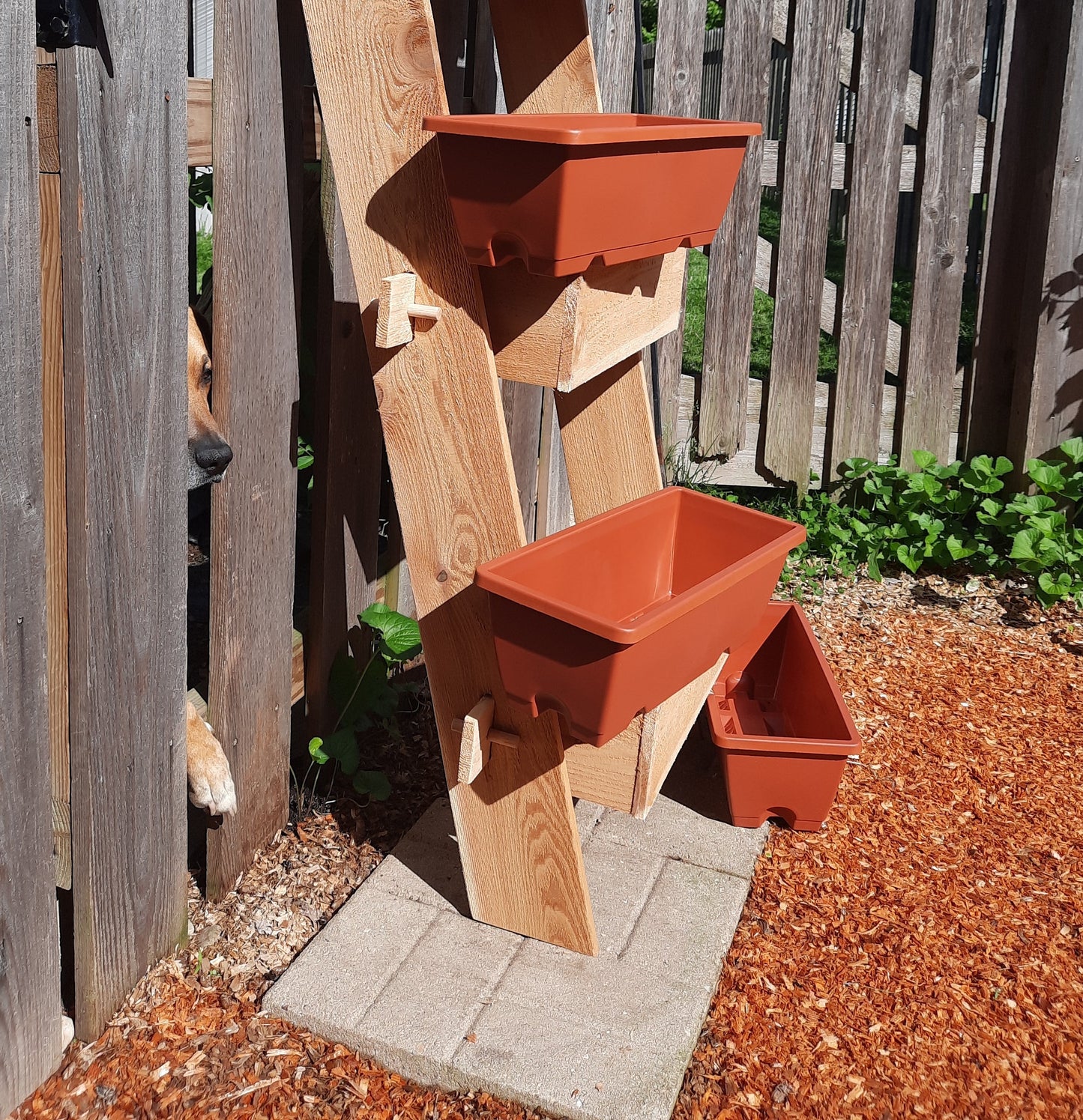 2-Tier Vertical Cedar Ladder Planter Box with orange planters on a ladder for small spaces on Tampa Home & Garden Store