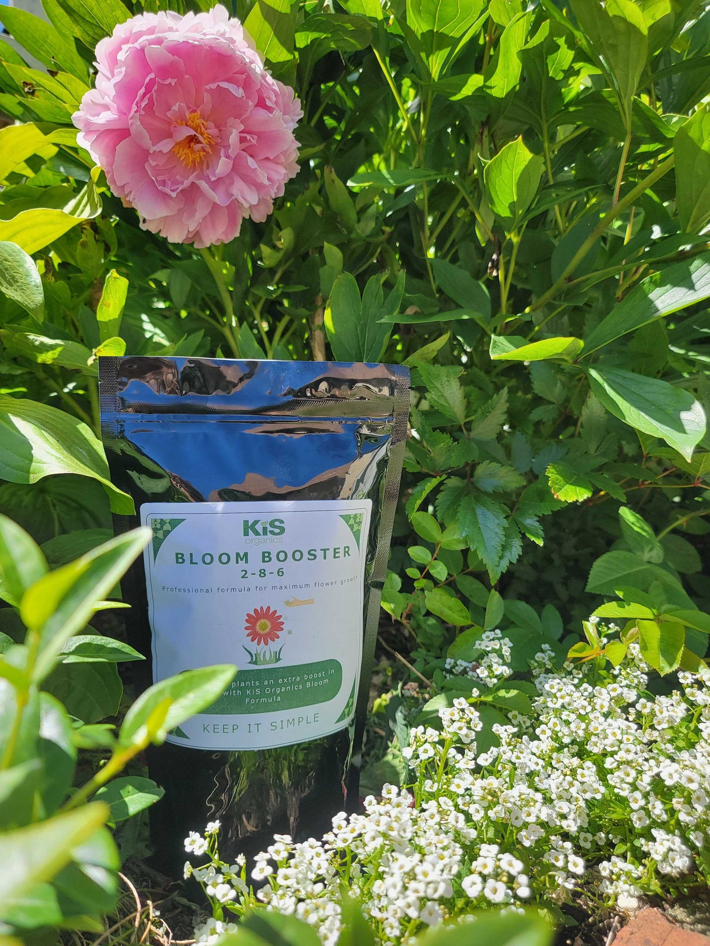 KiS Organics Bloom Booster 2-8-6 fertilizer packet beside pink peony in lush green garden on Tampa Home & Garden Store