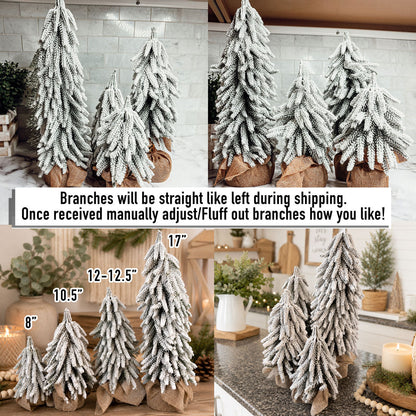 Sapins de Noël enneigés NOUVEAU