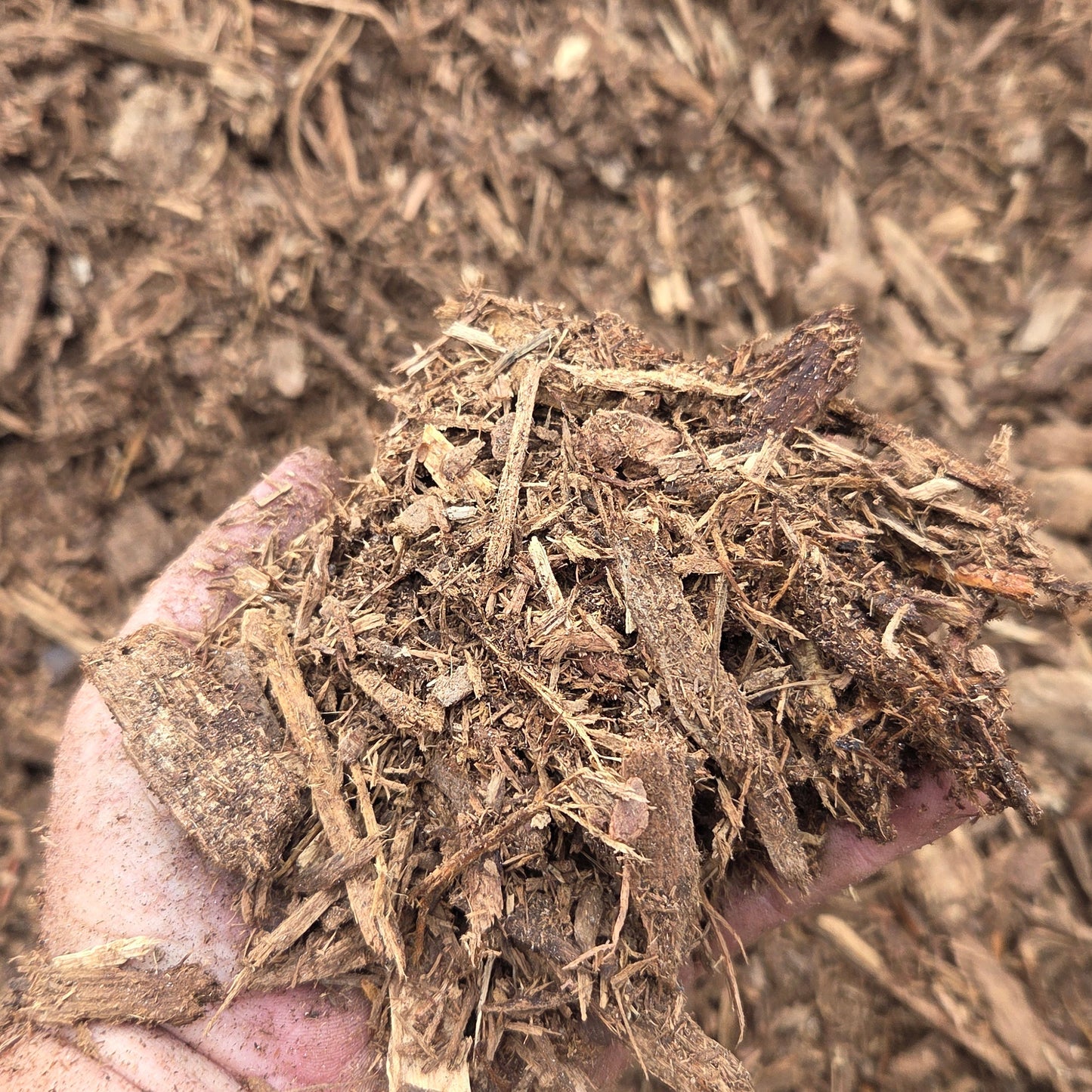 Hand holding a perfect blend of organic mulch on sale.