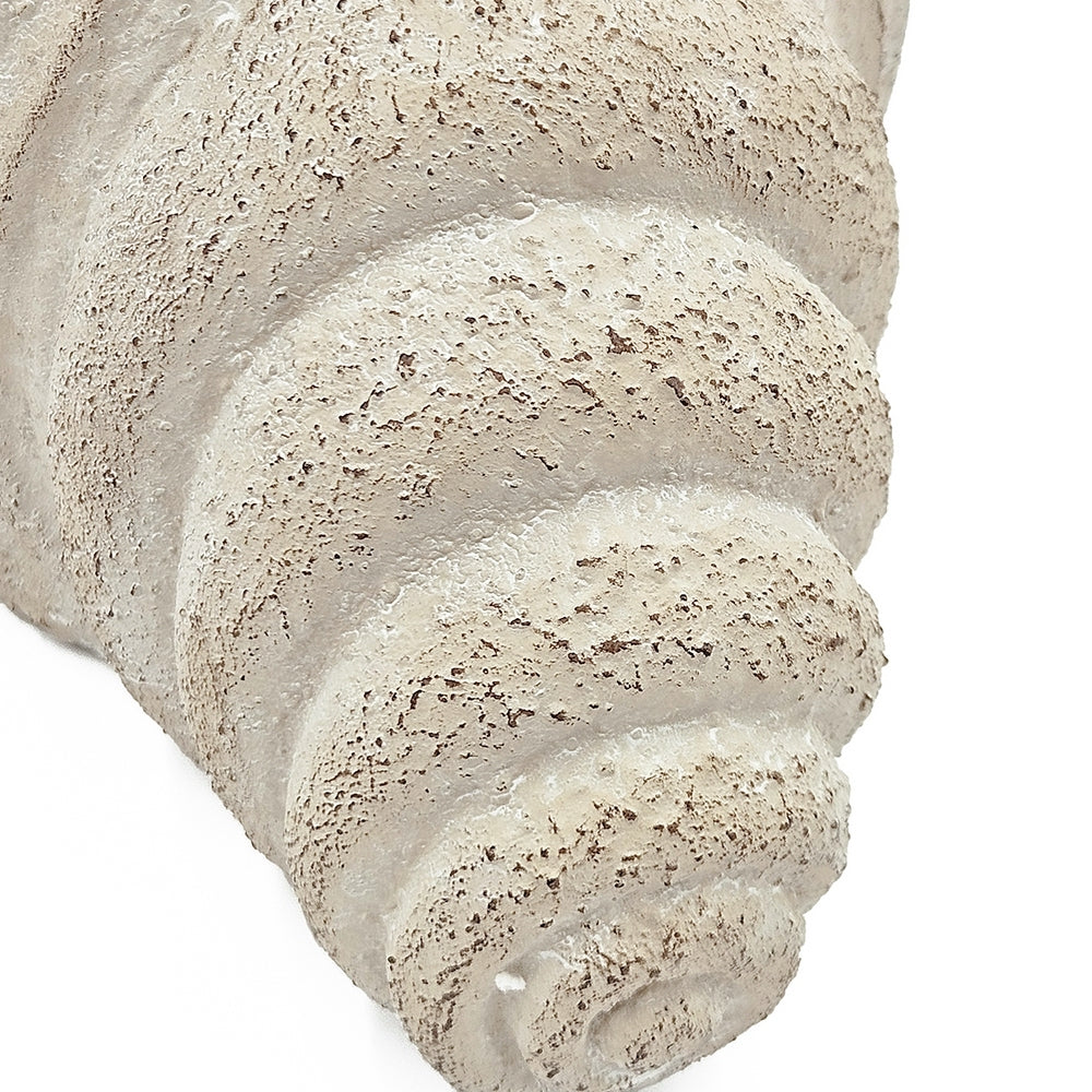 Nautilus shell planter in textured beige cement finish by HouseOfZazla decor on Tampa Home & Garden Store