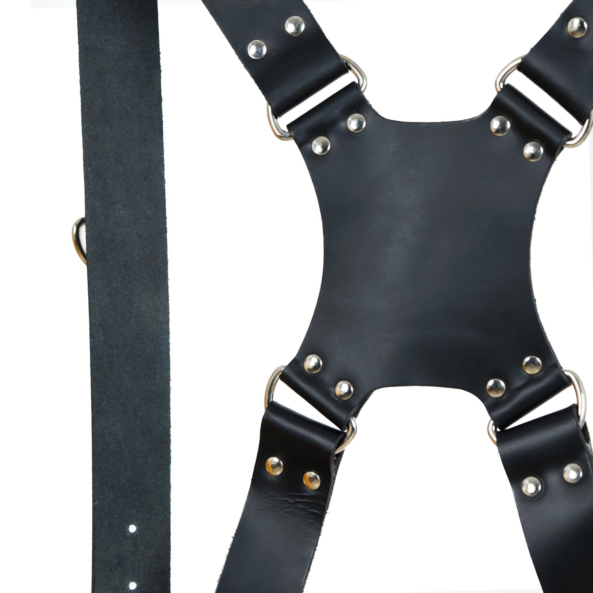 Dual Leather Camera Strap Harness- Black - Tampa Home & Garden Store