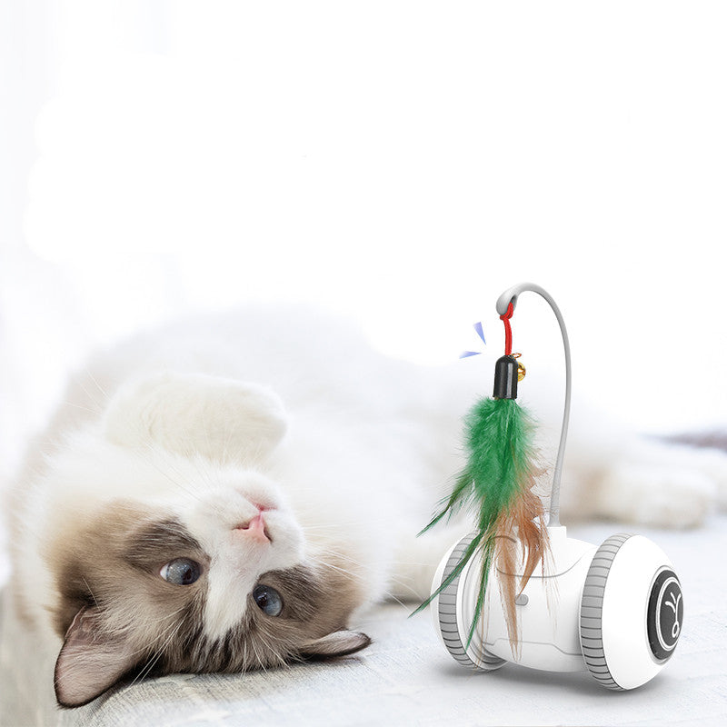Interactive cat toy with interchangeable feather heads, white base and green brown feathers on Tampa Home & Garden Store