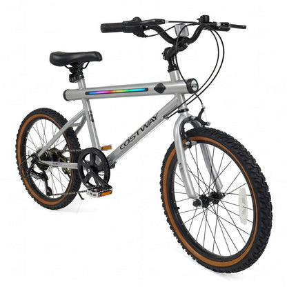 20 Inch LED Cycling Bike with Speakers and Lights