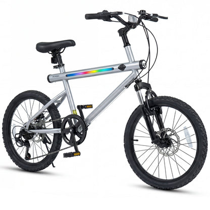 GemGear 20-inch commuter bicycle with silver aluminum frame and LED-lit rainbow stripe on Tampa Home & Garden Store