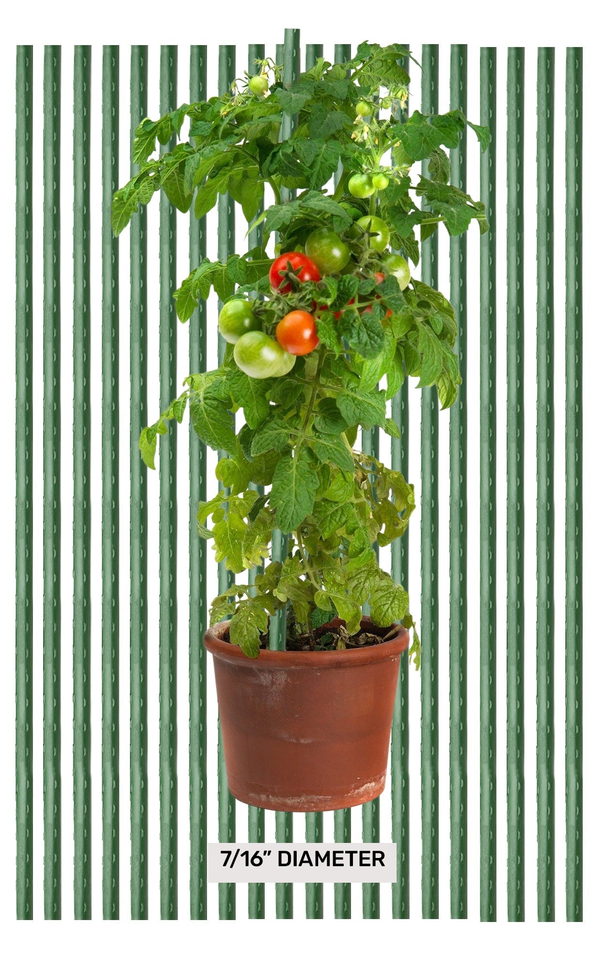 2.5' Sturdy Cross Bars- Garden Stake Segments - flat on both ends