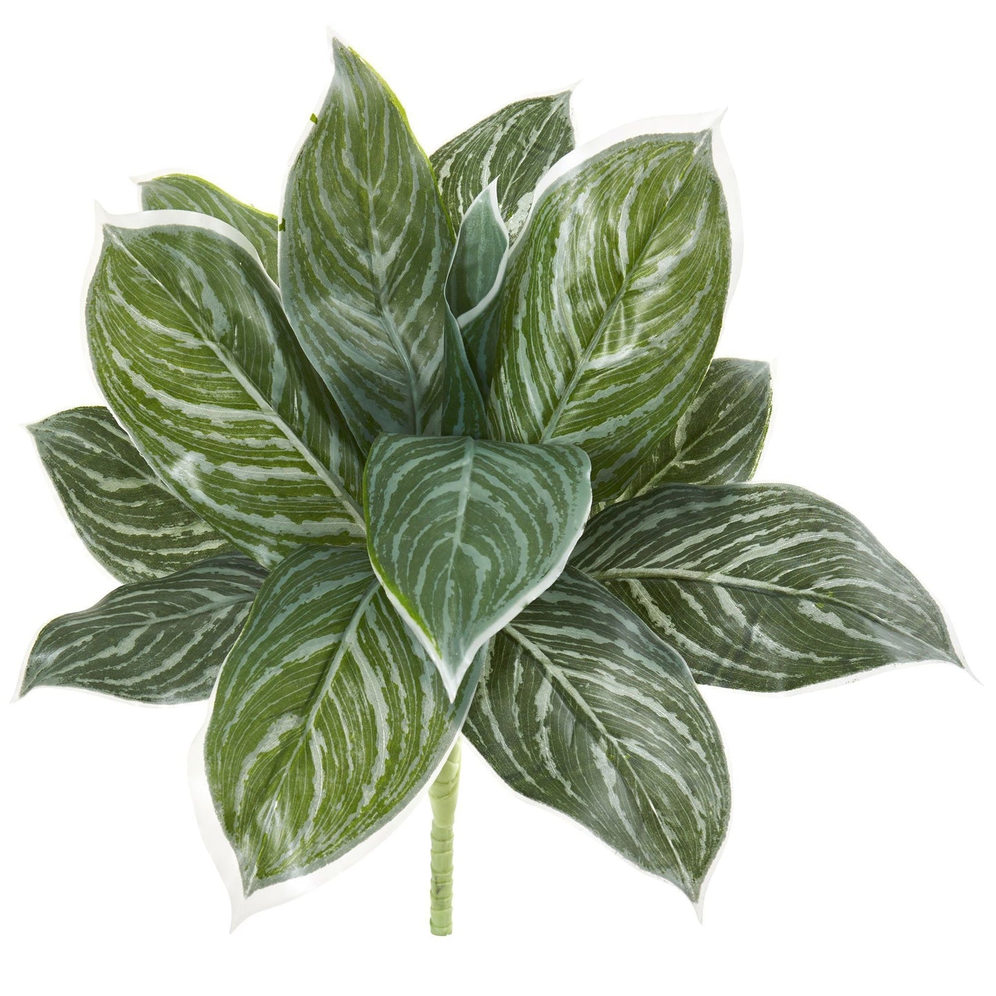 21” Silver Aglonema Artificial Plant (Real Touch) (Set of 6) - Tampa Home & Garden Store