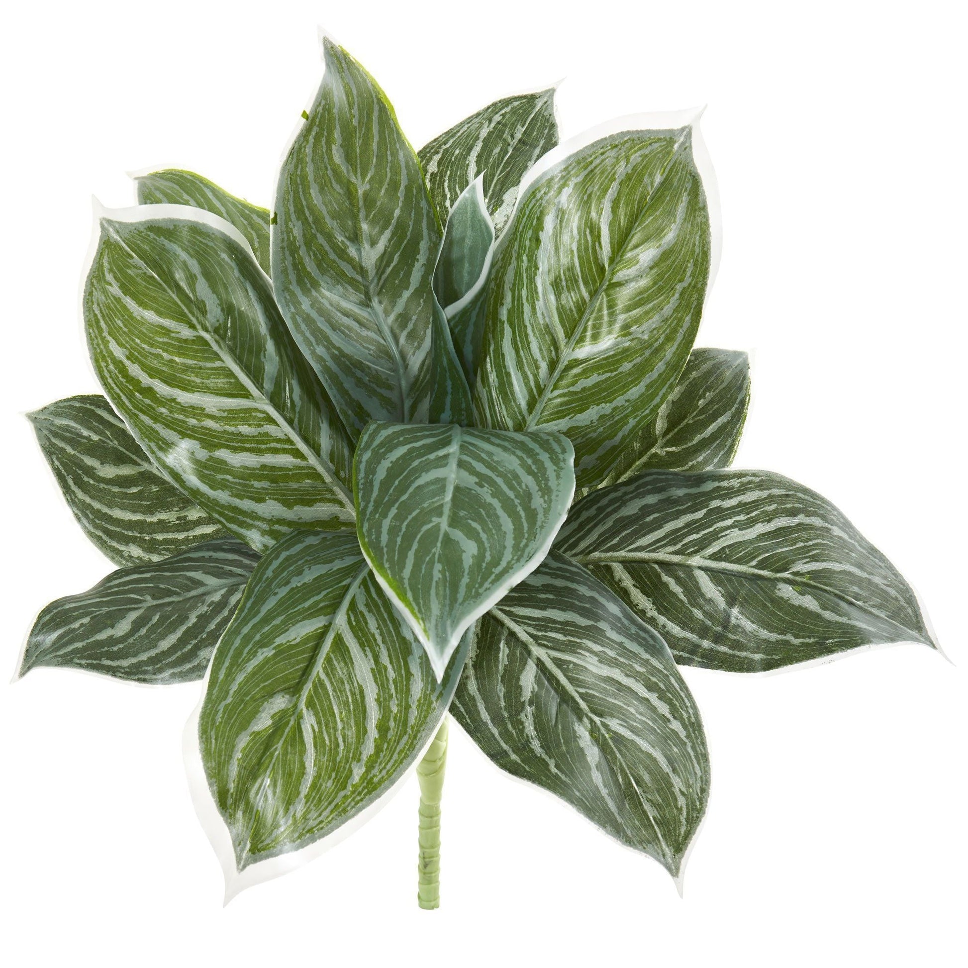 21” Silver Aglonema Artificial Plant (Real Touch) (Set of 6) - Tampa Home & Garden Store