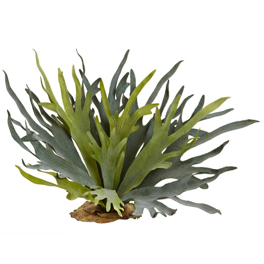 21” Staghorn Fern (Set of 2) - Tampa Home & Garden Store