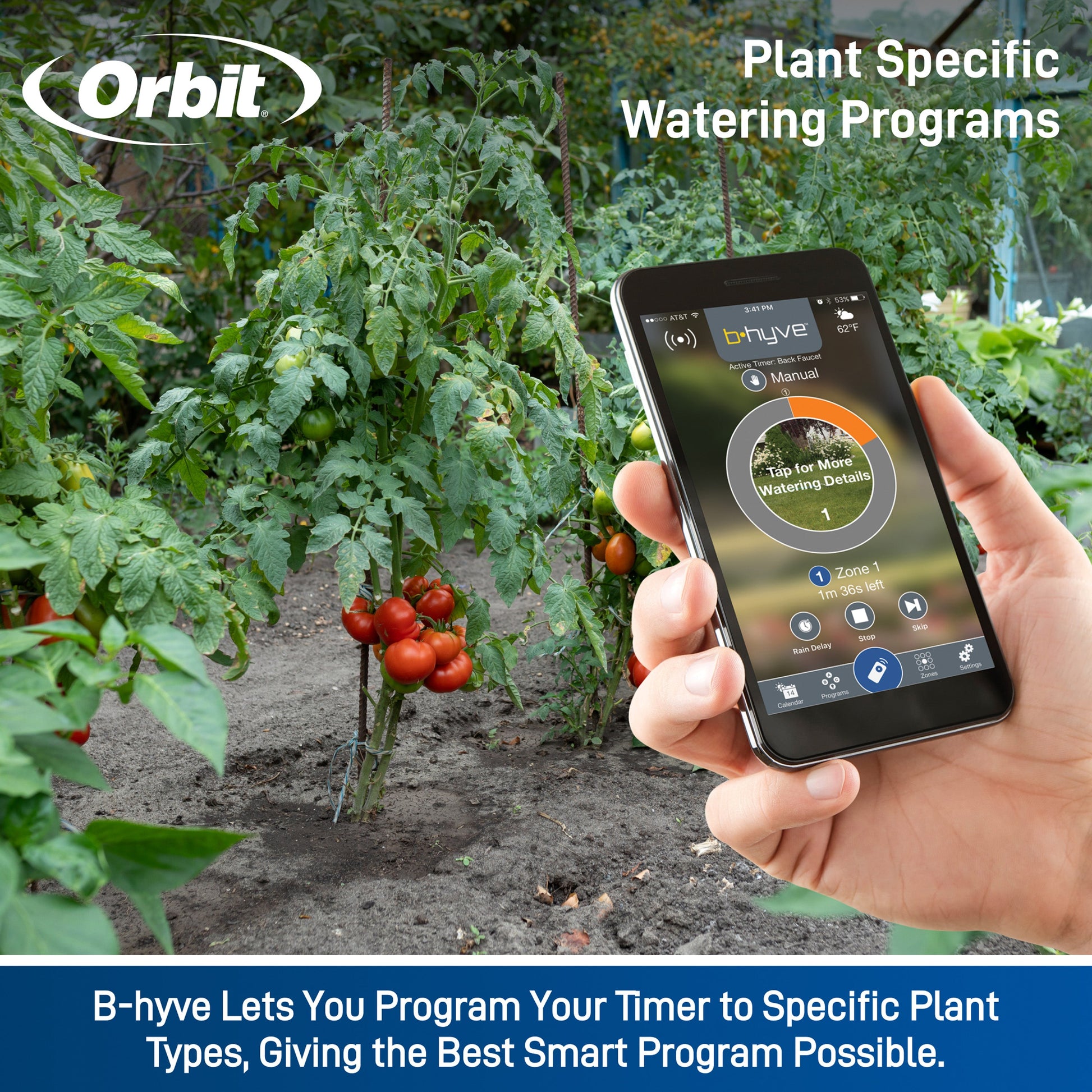 B-hyve Gen 1 Smart Hose Timer with Hub shown on a smartphone amid tomato plants Orbit Irrigation on Tampa Home & Garden Store