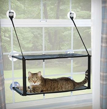 Cat window hammock bed with removable washable pad, black fabric and strong suction cups on Tampa Home & Garden Store