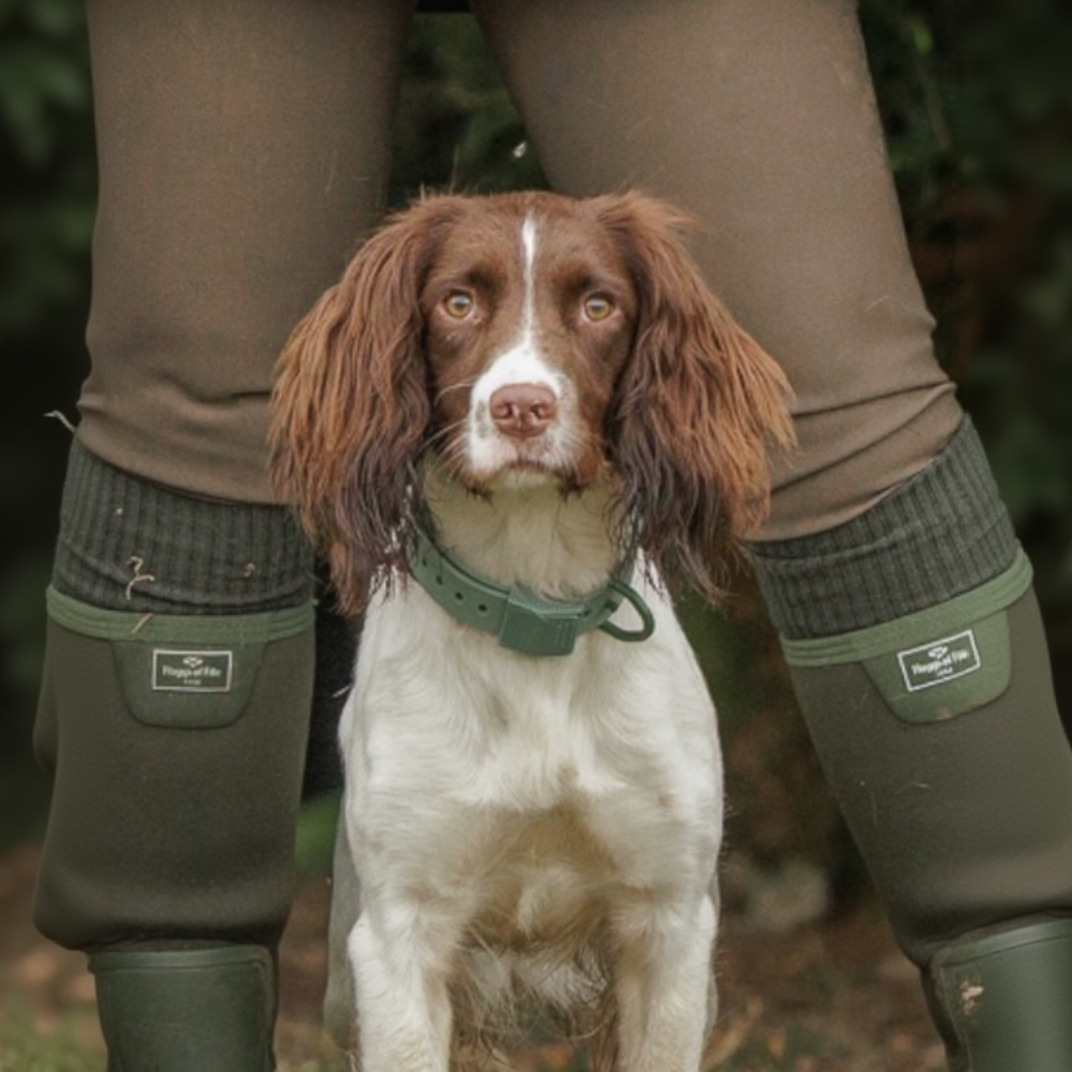 FIELD COLLAR by Hoss Straps, green hunting dog collar on Tampa Home & Garden Store