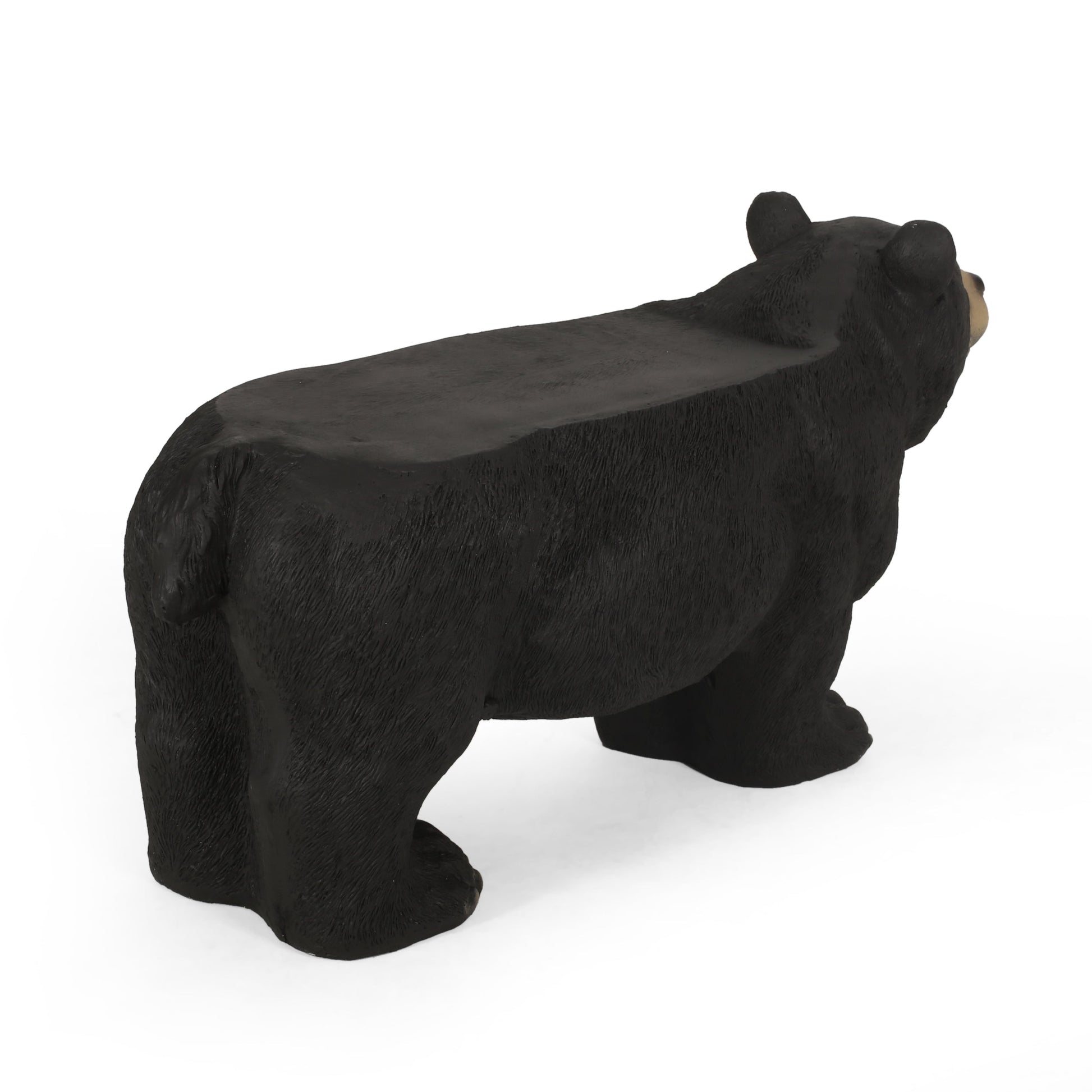 MGO Bear Bench statue by HouseOfZazla in black concrete texture for outdoor spaces on Tampa Home & Garden Store